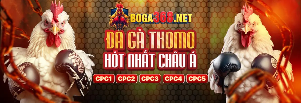 Đá gà trực tiếp tại kèo nhà cái f88